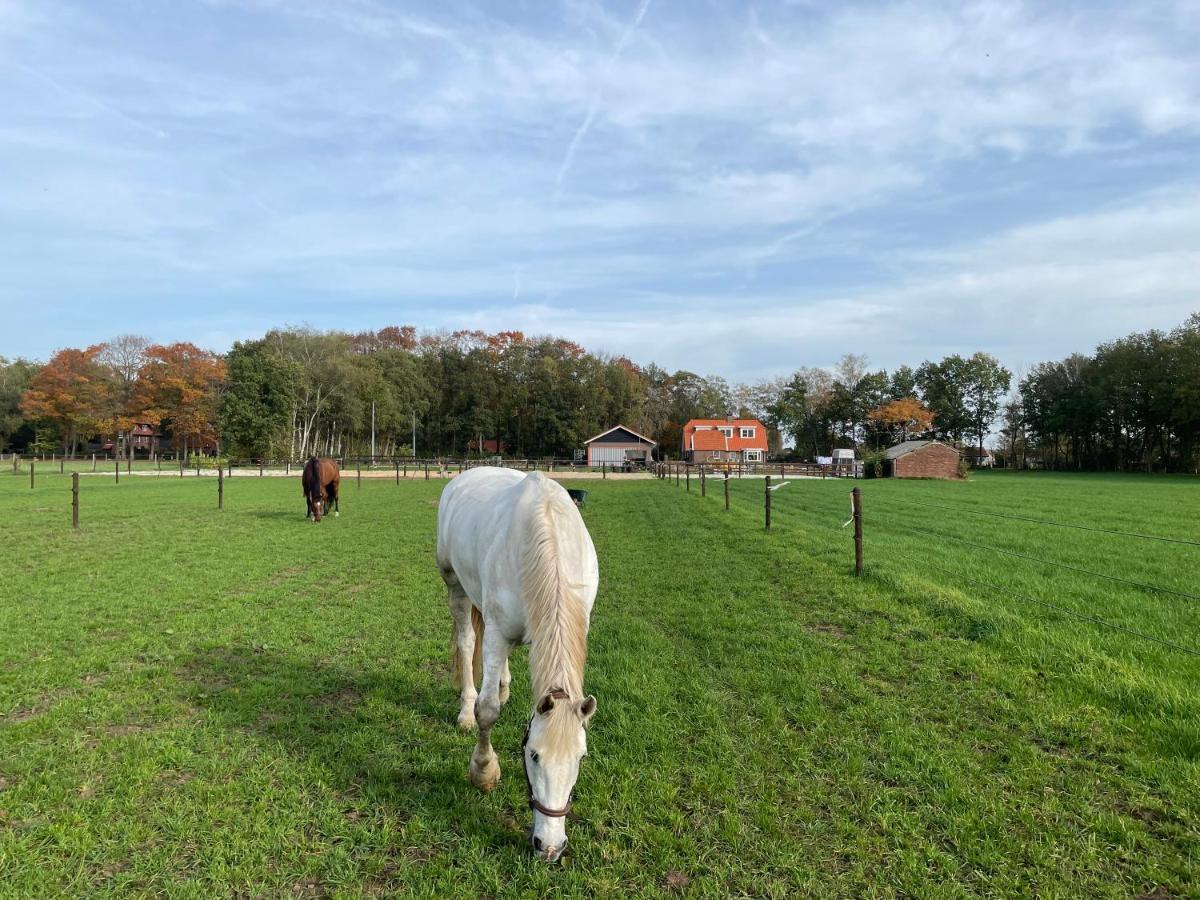 Bed & Breakfast Hoeve Happiness - Ontbijt Inbegrepen - Wellness Aanwezig Voorthuizen Extérieur photo