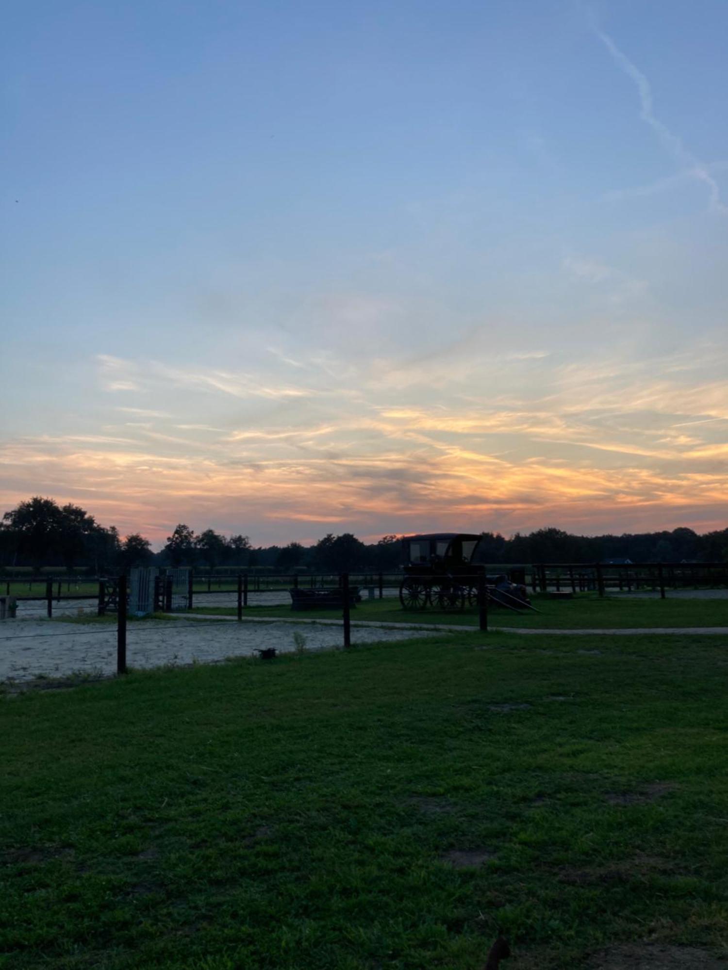 Bed & Breakfast Hoeve Happiness - Ontbijt Inbegrepen - Wellness Aanwezig Voorthuizen Extérieur photo