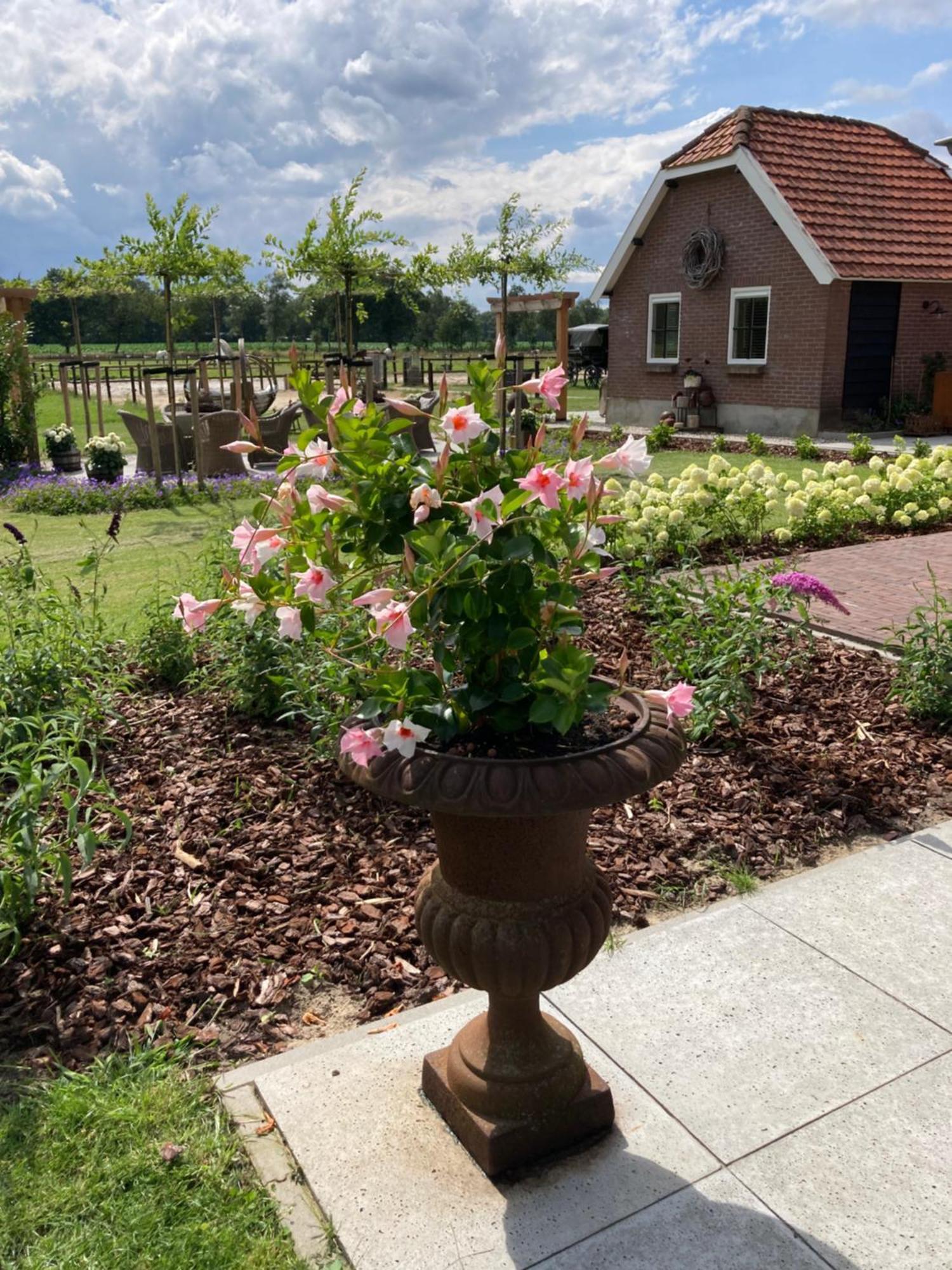 Bed & Breakfast Hoeve Happiness - Ontbijt Inbegrepen - Wellness Aanwezig Voorthuizen Extérieur photo