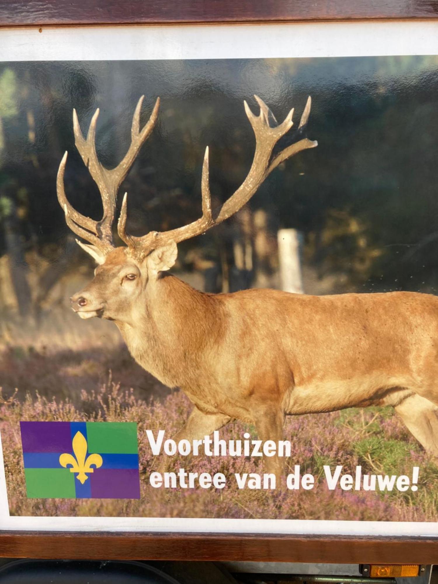Bed & Breakfast Hoeve Happiness - Ontbijt Inbegrepen - Wellness Aanwezig Voorthuizen Extérieur photo
