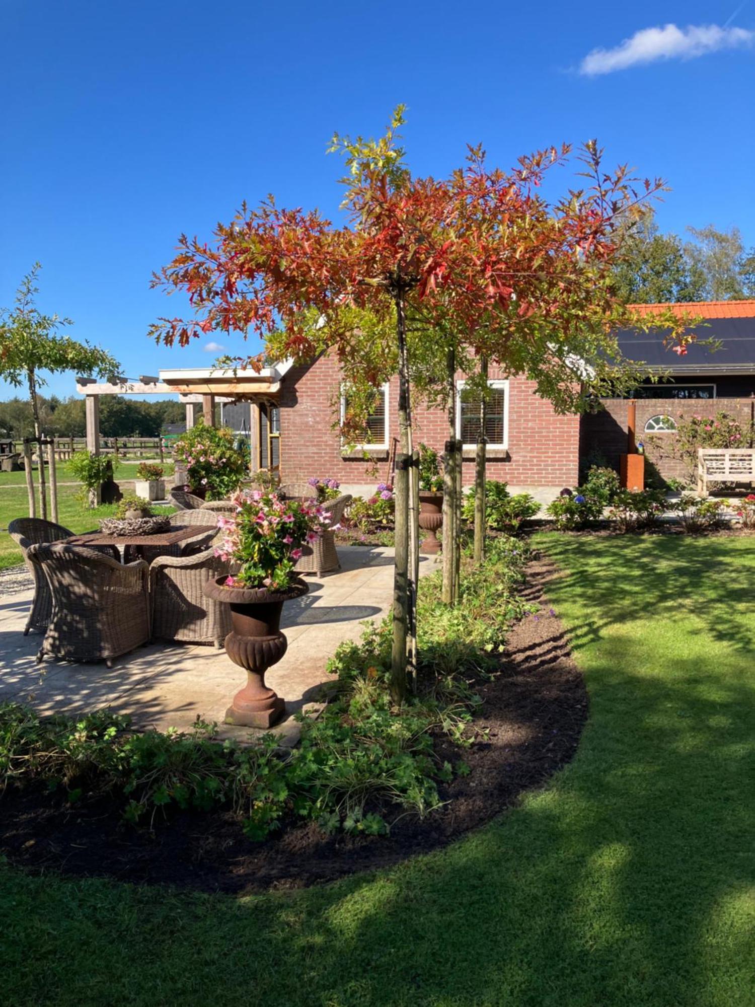 Bed & Breakfast Hoeve Happiness - Ontbijt Inbegrepen - Wellness Aanwezig Voorthuizen Extérieur photo