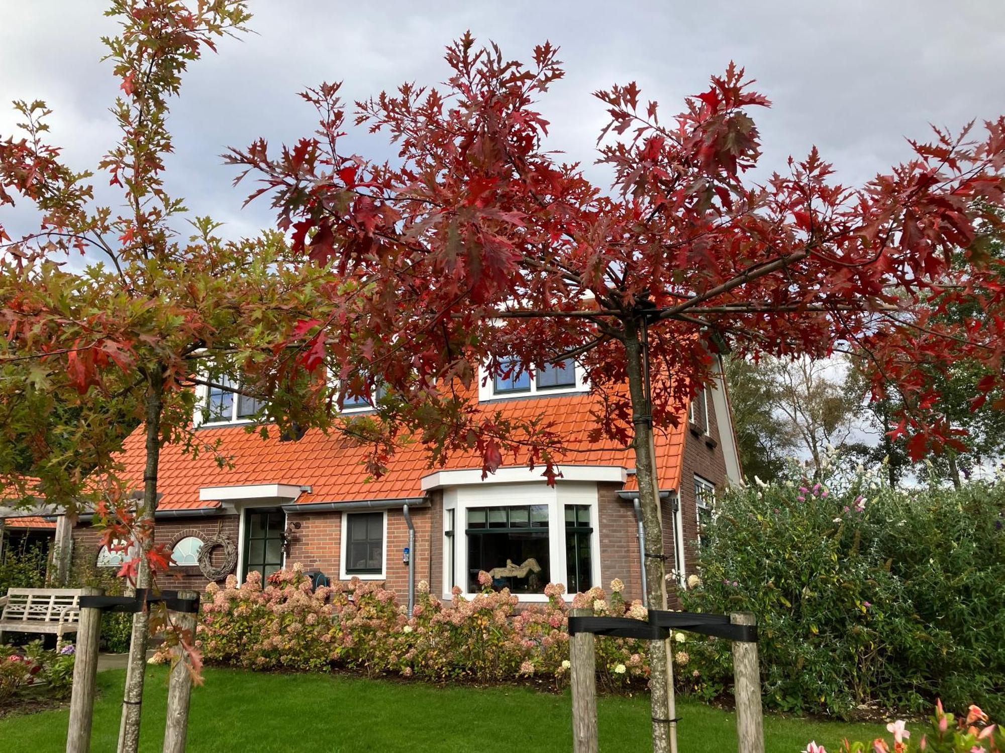 Bed & Breakfast Hoeve Happiness - Ontbijt Inbegrepen - Wellness Aanwezig Voorthuizen Extérieur photo